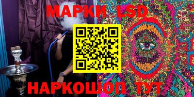 Альфа ПВП Ставрополь