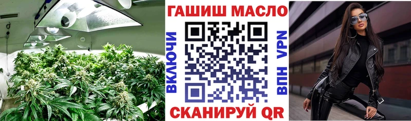 ТГК концентрат  OMG ССЫЛКА  Новозыбков  магазин продажи наркотиков 
