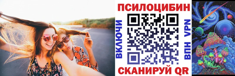 omg ТОР  купить закладку  Новозыбков  Галлюциногенные грибы GOLDEN TEACHER 