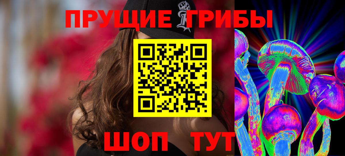 Псилоцибиновые грибы Cubensis Новозыбков