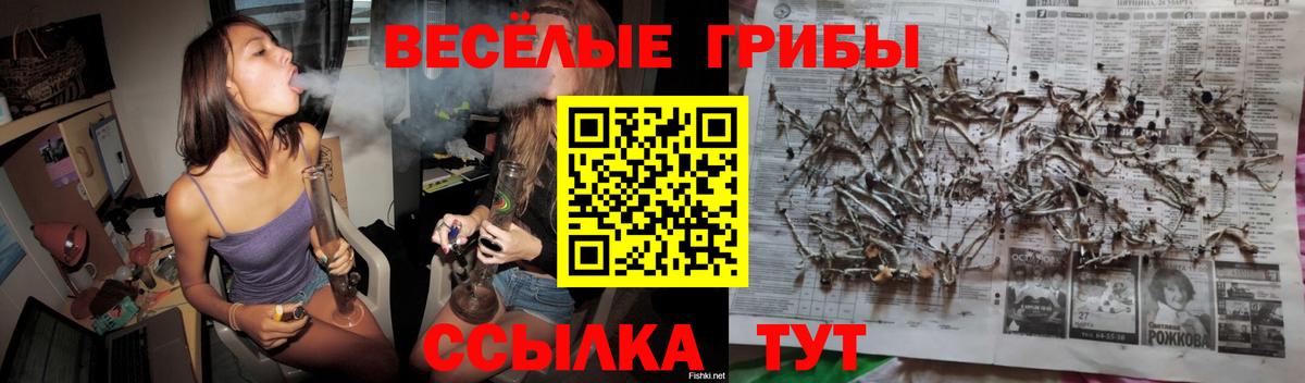 Псилоцибиновые грибы Magic Shrooms  Вход с VPN  Новозыбков 