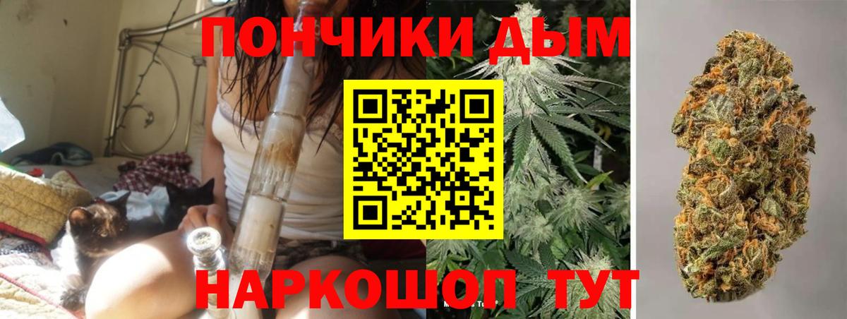 МАРИХУАНА ГИДРОПОН  Бошки Шишки конопля  Новозыбков  Вход с VPN 